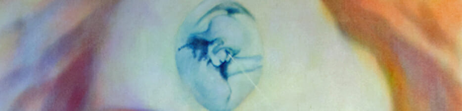 Prometheus Banner
