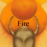 tarot court cards,tarot, fire, wants, batons,court cards