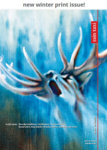 Rain Taxxi, new winter print issue